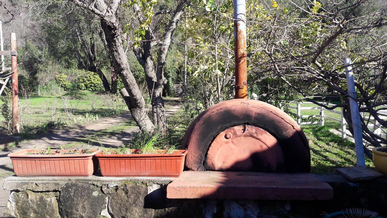 מלון El Fogon De Rio Claro מראה חיצוני תמונה