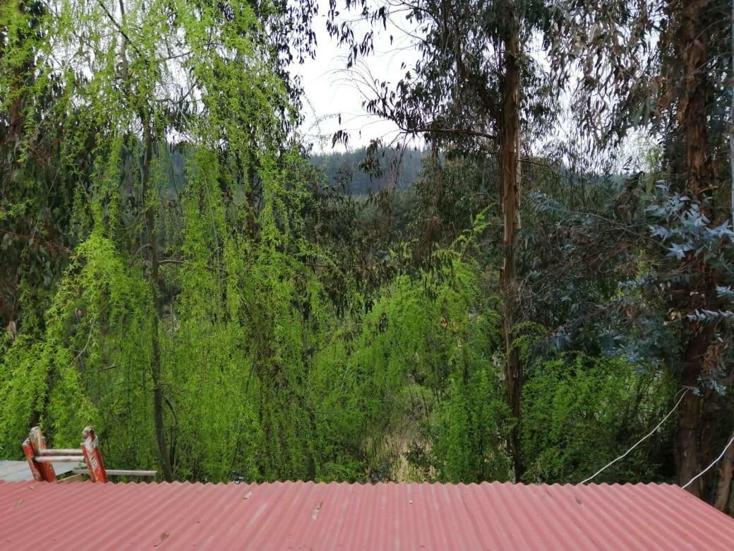 מלון El Fogon De Rio Claro מראה חיצוני תמונה